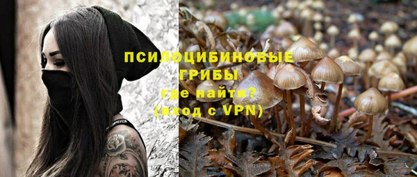 альфа пвп Осинники