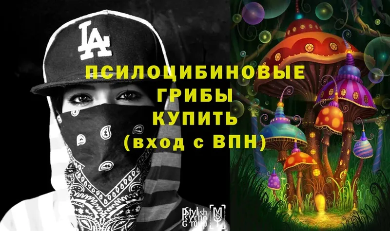 Галлюциногенные грибы MAGIC MUSHROOMS  где можно купить   блэк спрут tor  Кизилюрт 