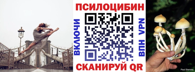кракен ссылки где продают наркотики площадка состав Галлюциногенные грибы GOLDEN TEACHER Кизилюрт