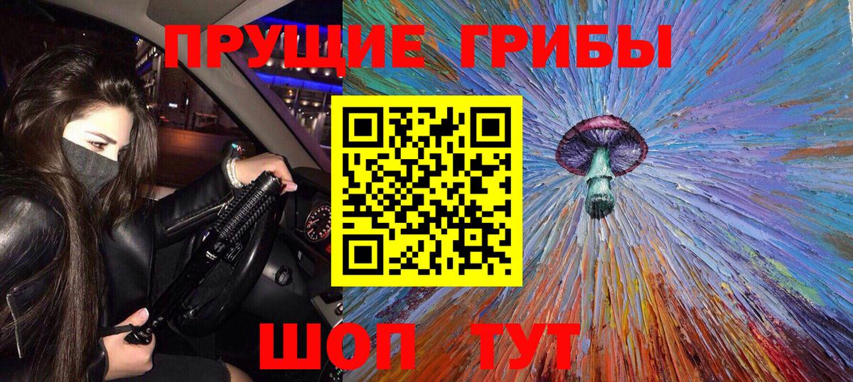 Псилоцибиновые грибы MAGIC MUSHROOMS  Кизилюрт  Галлюциногенные грибы Psilocybine cubensis 