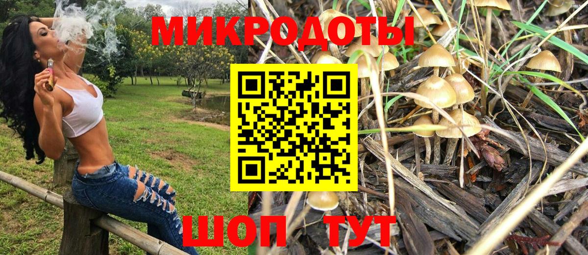 Псилоцибиновые грибы Magic Shrooms Кизилюрт