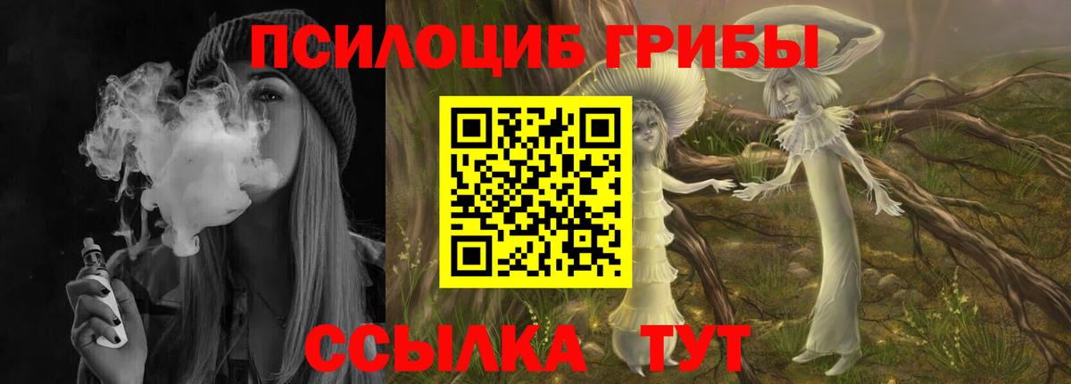 Псилоцибиновые грибы Cubensis Кизилюрт