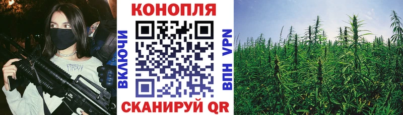 купить   Кизилюрт  Шишки марихуана SATIVA & INDICA 